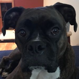 Meet your Posher, Shelly